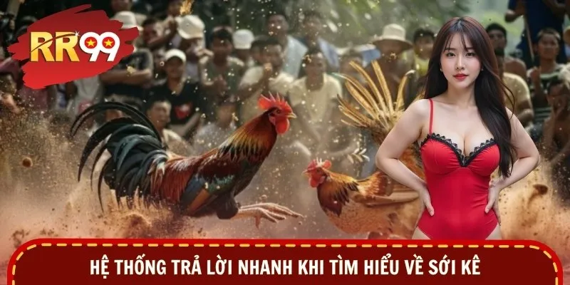 Hệ thống trả lời nhanh khi tìm hiểu về sới kê
